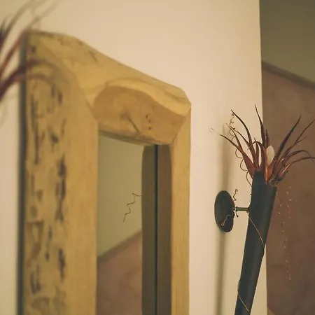 Villa-senta-apartment-13 Daire