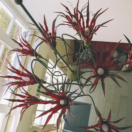 Daire Villa-senta-apartment-13 *